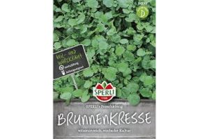 Brunnenkr. Froschkönig