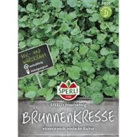 Brunnenkr. Froschkönig