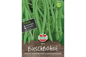 Buschbohnen. Maxi
