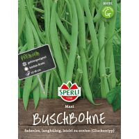 Buschbohnen. Maxi