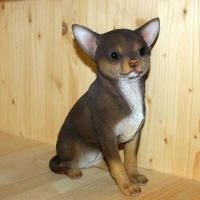 CHIHUAHUA BRUIN H19B10H23CM