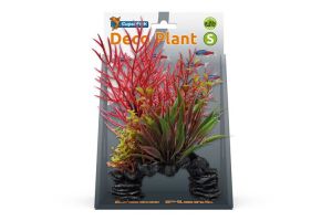 Deco plant s ludwigia