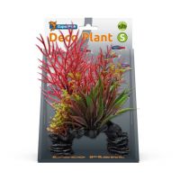 Deco plant s ludwigia