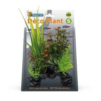 Deco plant s rotala