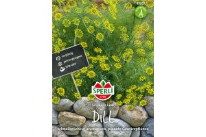 Dill. SPERLING´s Liso