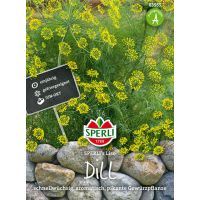 Dill. SPERLING´s Liso