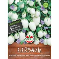 Eierbaum. Essbare Früchte