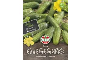 Einlegegurken. Conny