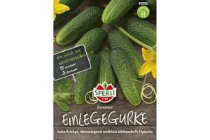 Einlegegurken Excelsior