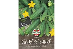 Einlegegurken Libelle F1