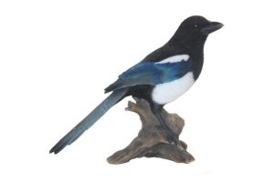 EKSTER OP STAM H22X26X9CM 8ST