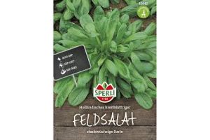 Feldsalat. Holländ.breitbl.