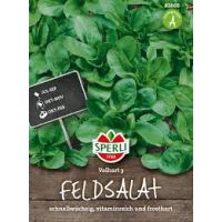 Feldsalat. Volhart 3