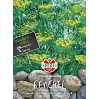 Fenchel. Finocchio