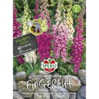 Fingerhut Mervita Mischung