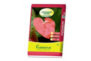 Florentus potgrond voor Anthurium 5L