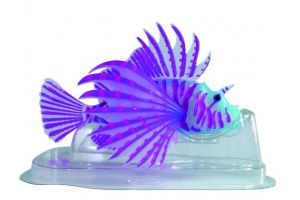 Fluo lionfish blauw