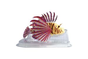 Fluo lionfish oranje