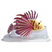 Fluo lionfish oranje