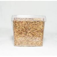 Gammarus 8 mm. 2,5 liter
