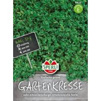 Gartenkresse