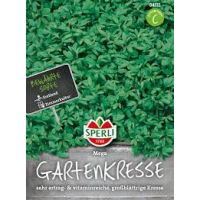 Gartenkresse Mega großblättrig