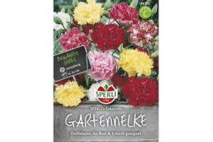 Gartennelken. Colorista