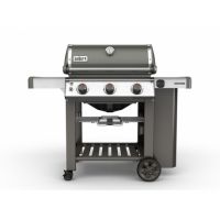 Genesis II E-310 GBS, Smokegrey - afbeelding 2