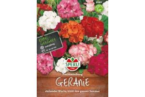 Geranien. Prachtmischung