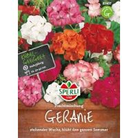 Geranien. Prachtmischung