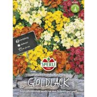 Goldlack. Chupado Mix
