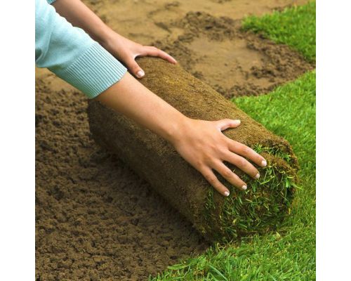 Graszoden gekoeld afhalen (dinsdag/vrijdag)