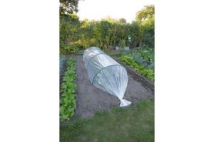 Groei-afdekfolie transparant h 2 x l 10m