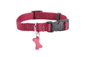 Halsband Safe, L Fuchsia