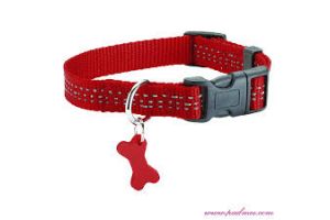 Halsband Safe, L Rood