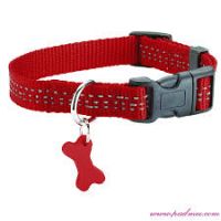 Halsband Safe, L Rood