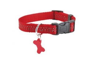 Halsband Safe, M Rood