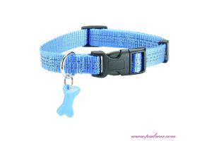 Halsband Safe S Blauw