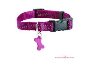 Halsband Safe XS Fushia