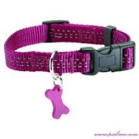 Halsband Safe XS Fushia