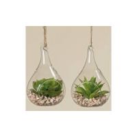 Hangglas met succulent h11cm a2