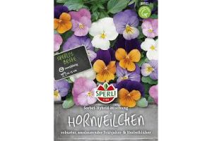 Hornveilchen. Sorbet Mix