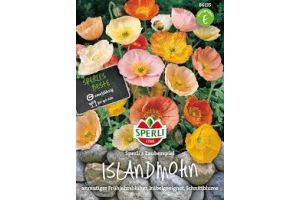 Islandmohn. Zauberspiel