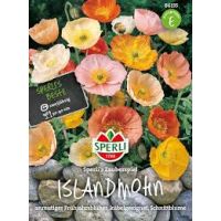 Islandmohn. Zauberspiel