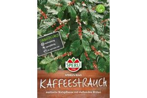 Kaffeebaum. Rösti