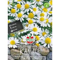 Kamille. Canastilla