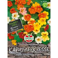 Kapuzinerkresse Diamant