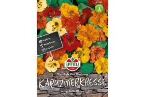 Kapuzinerkresse Glanzhybiden Mix
