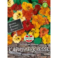 Kapuzinerkresse Glanzhybiden Mix
