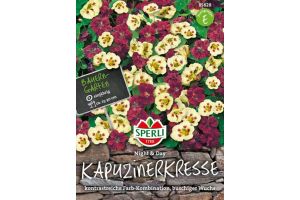 Kapuzinerkr. Night & Day